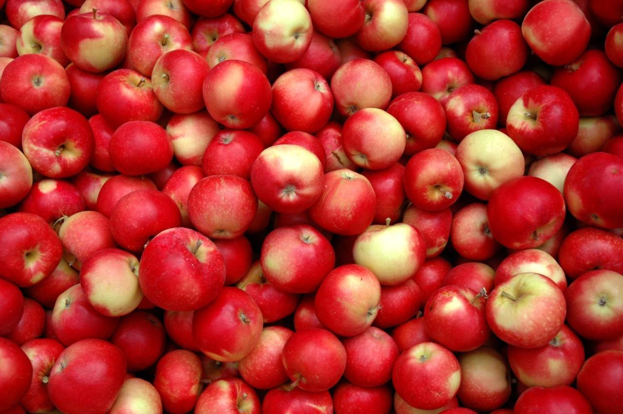 The Rotten Apple Backpackers Хейстингс Экстерьер фото